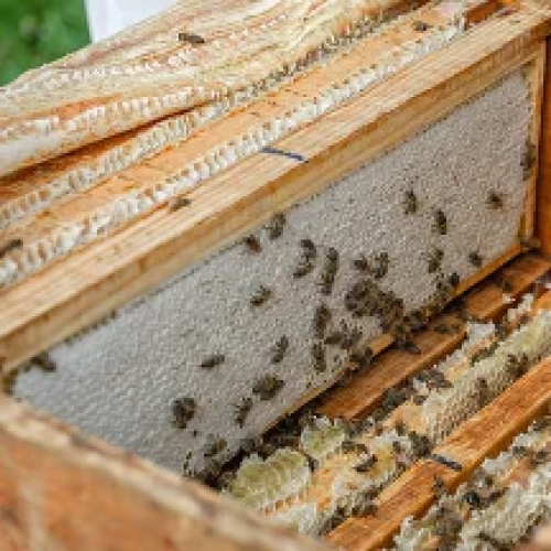 Лечебный туризм