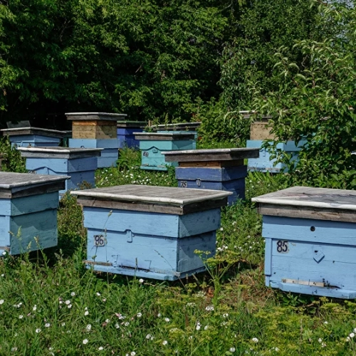 Пасека оживает