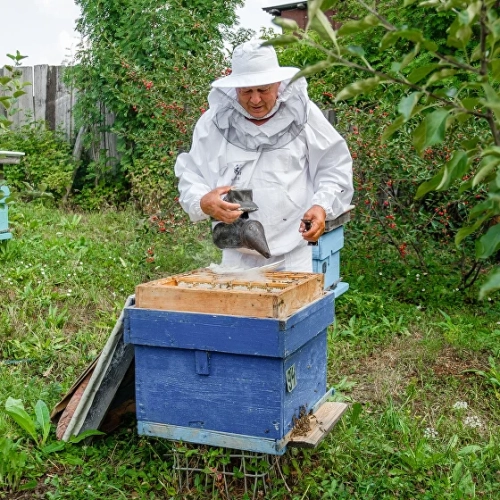 Роение пчел и сбор пыльцы
