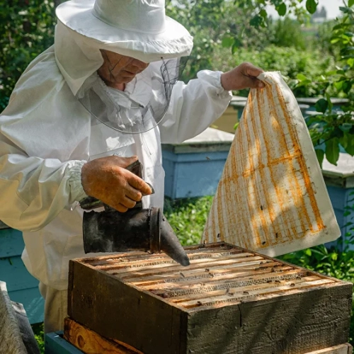 Готовимся к качке мёда