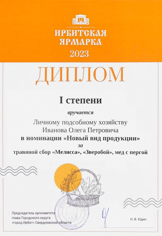 Диплом I степени